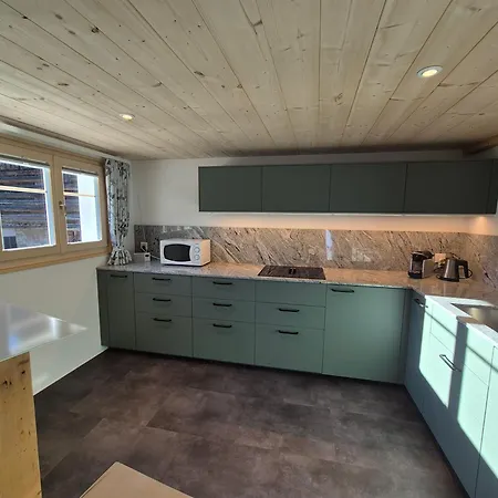 Appartement Tgèsa Stefania Sedrun